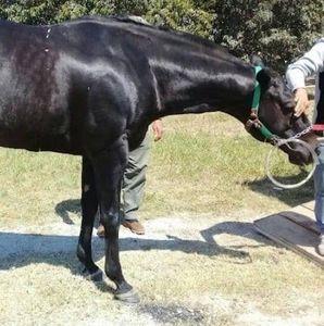 Meet your Posher, Scott